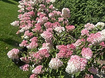 bac6d565-efda-4794-b6b7-39543132bb82